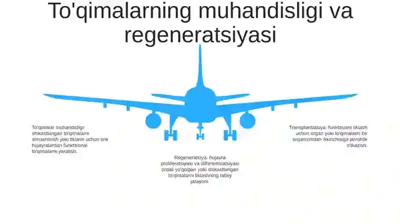Tõqima Transplantatsiyasi Va Regeneratsiyasi 4