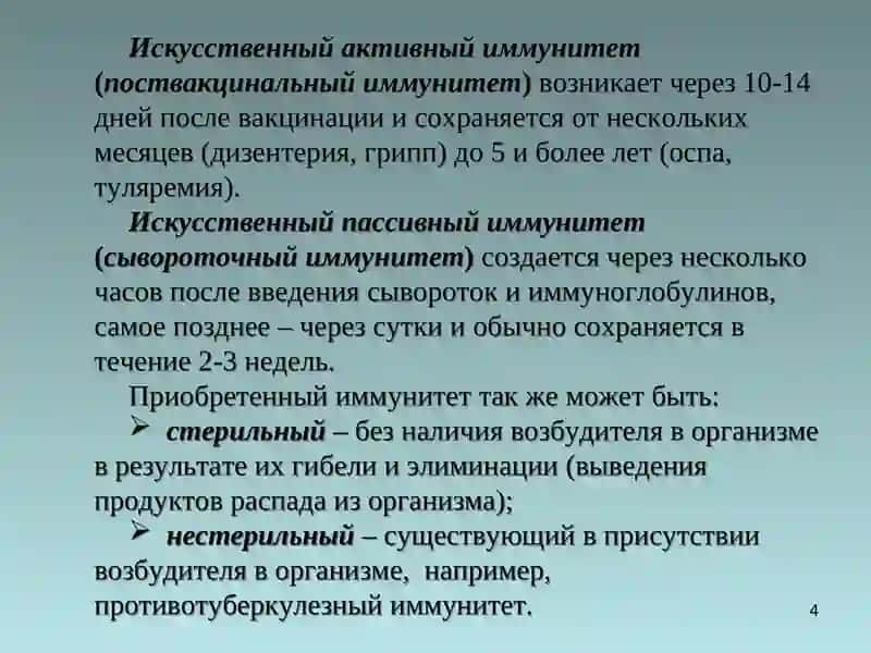 Иммунитет 4