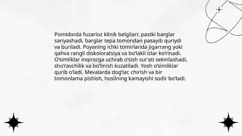 Pomidorning fuzarioz kasalliklari 4