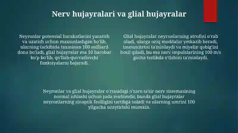 Novda tizimi: anatomiyasi, morfologiyasi va biologik xususiyatlari 4