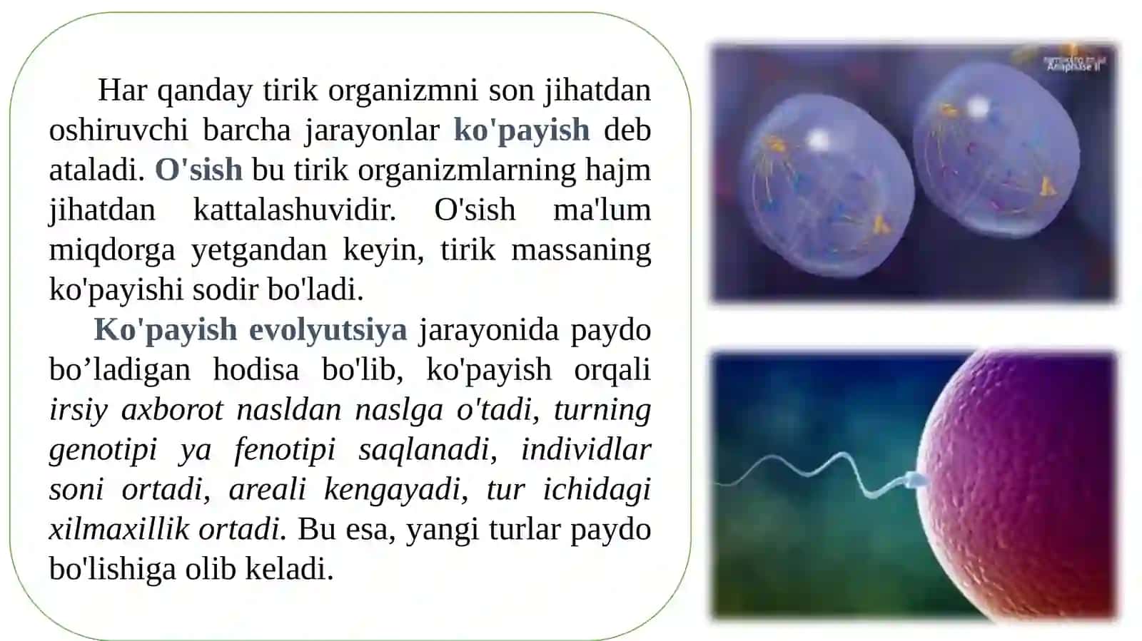 Ontogenez.Organizmlarningkoʻpayishi 4