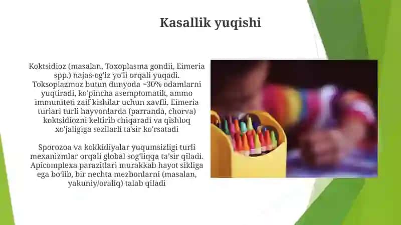 Sporalilar sinfi, koksidyalar turkumi 4