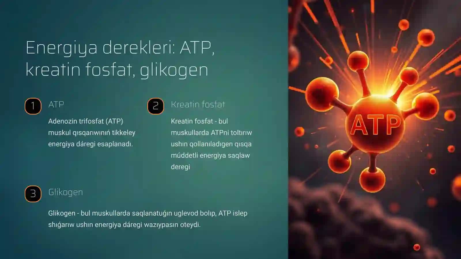 Bulshıq et bioxımıyası 4