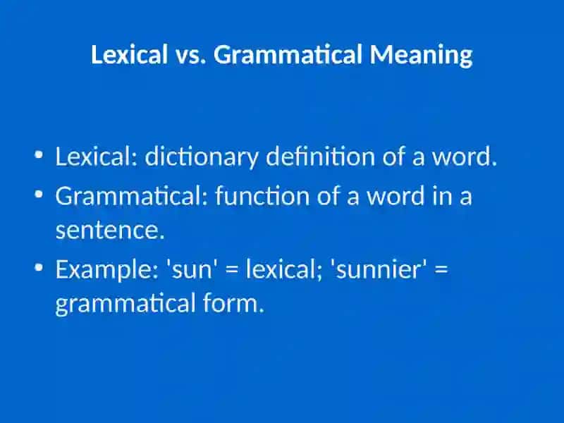 Lexical and Grammatical Meanings 4