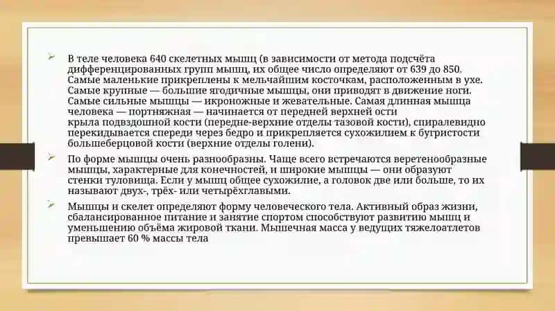 Классификация мышц 4