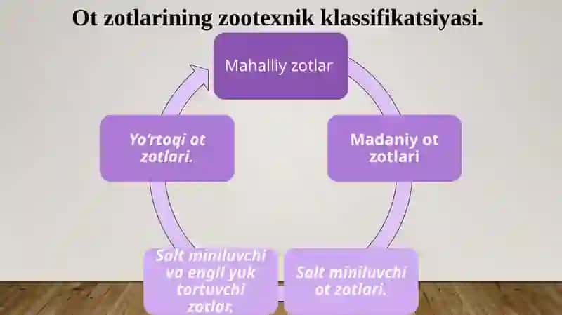 Ot Zotlari 4