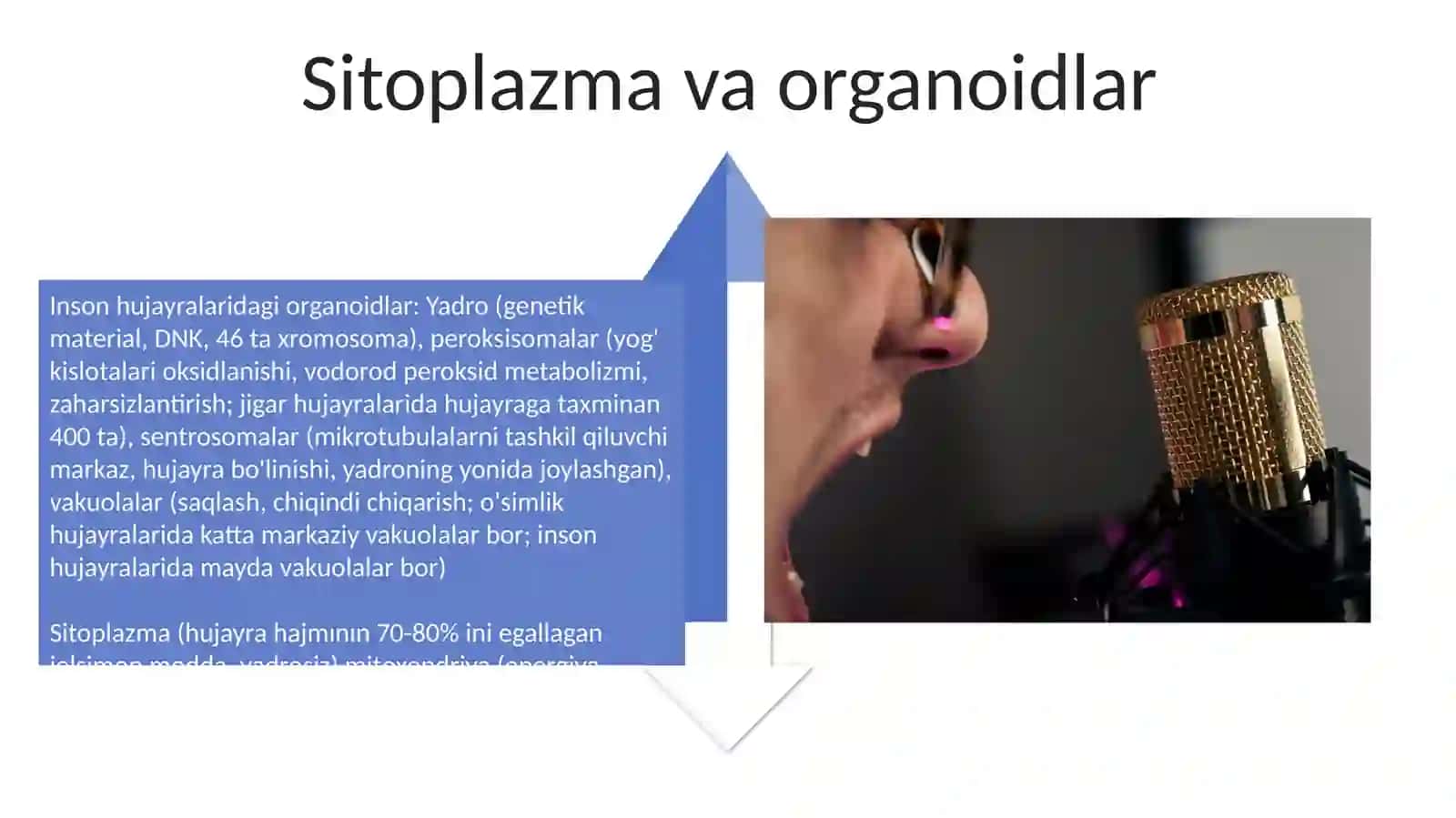 Insonning hujaralar sistemasi 4