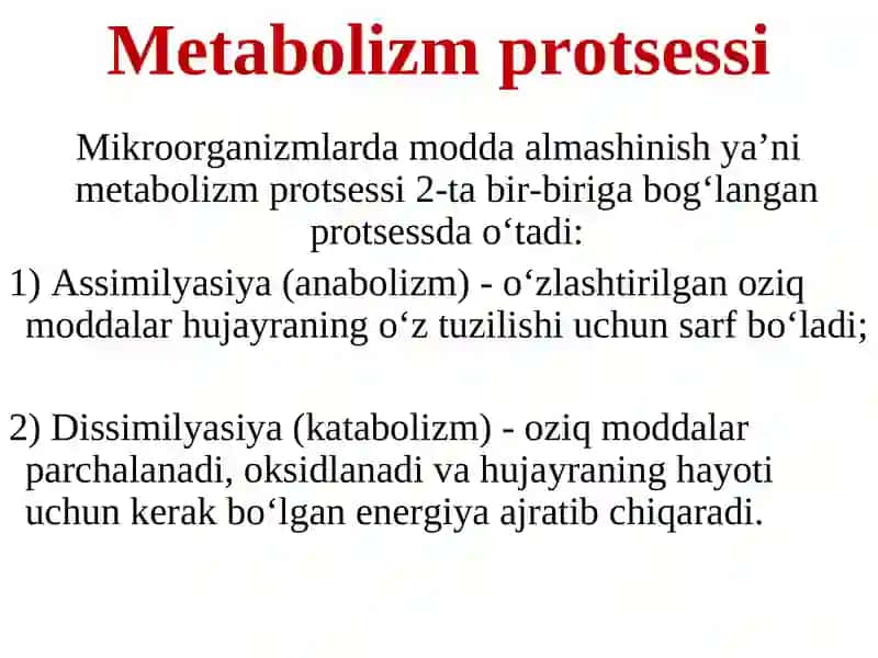 Bakteriyalar fiziologiyasi 4
