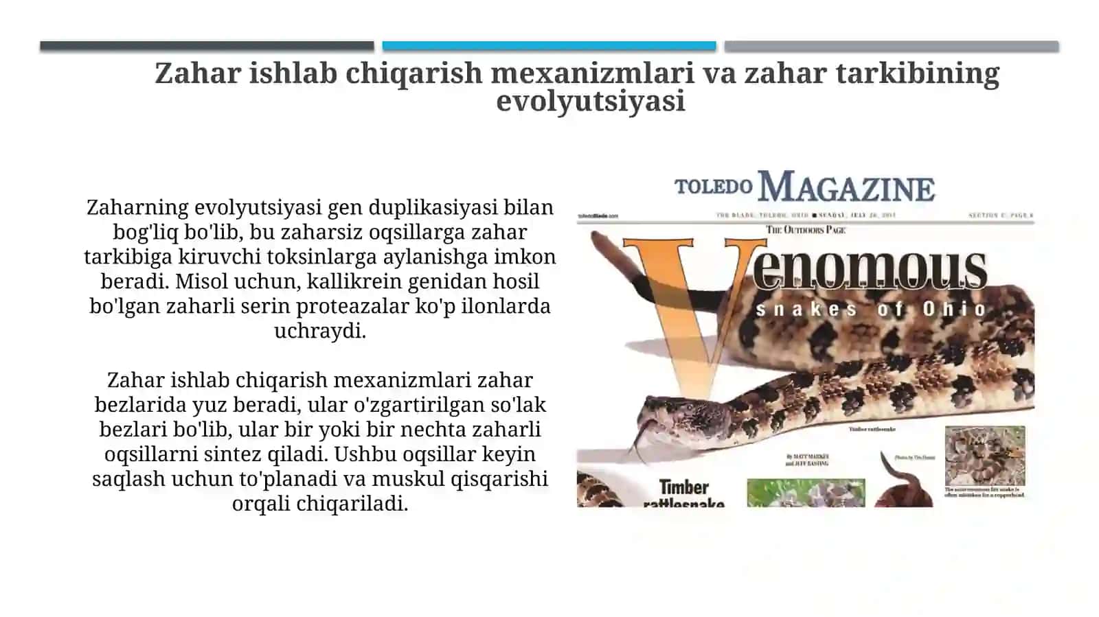 Zaharli umurtqali hayvonlar sistematikasi 4