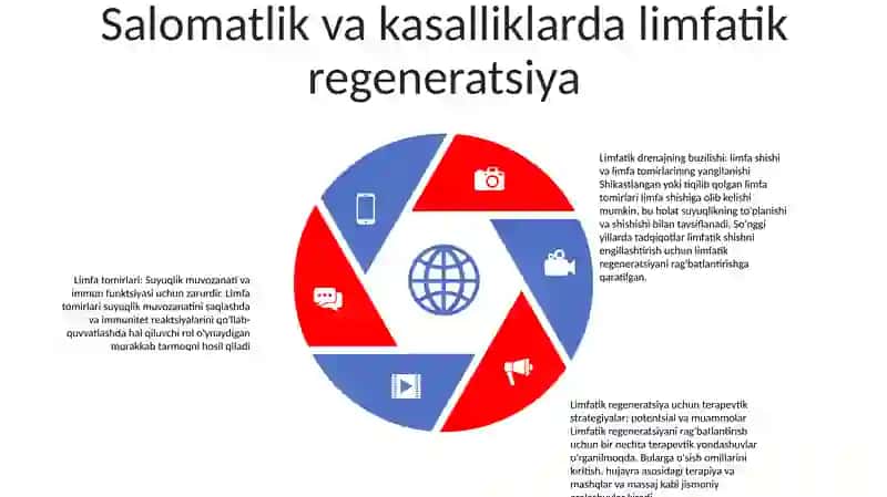 Limfa tugunlarining tuzilishi va funktsiyasi 4