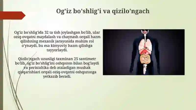 Hazm tizimi a'zolari 4