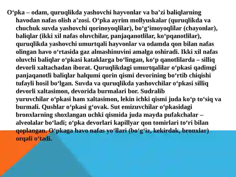 O’pkalar va plevra pardasining tuzilishi 4
