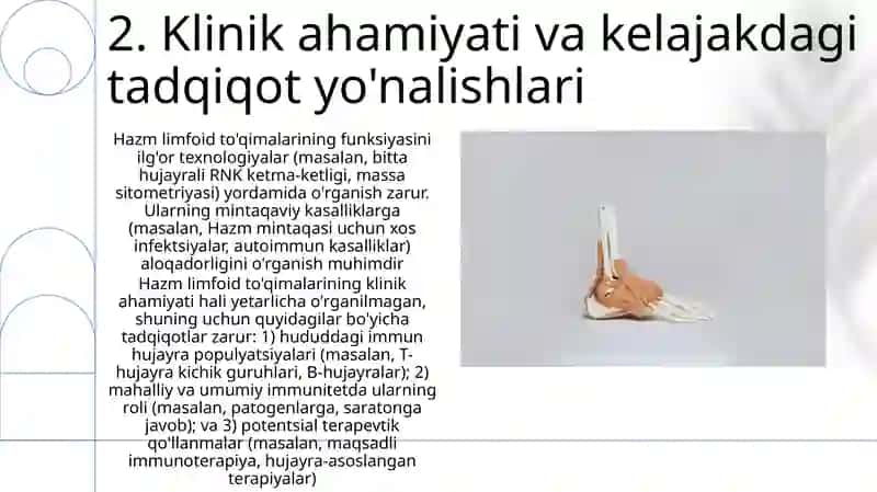Hazm nayining limfoid tuzulmalari 4