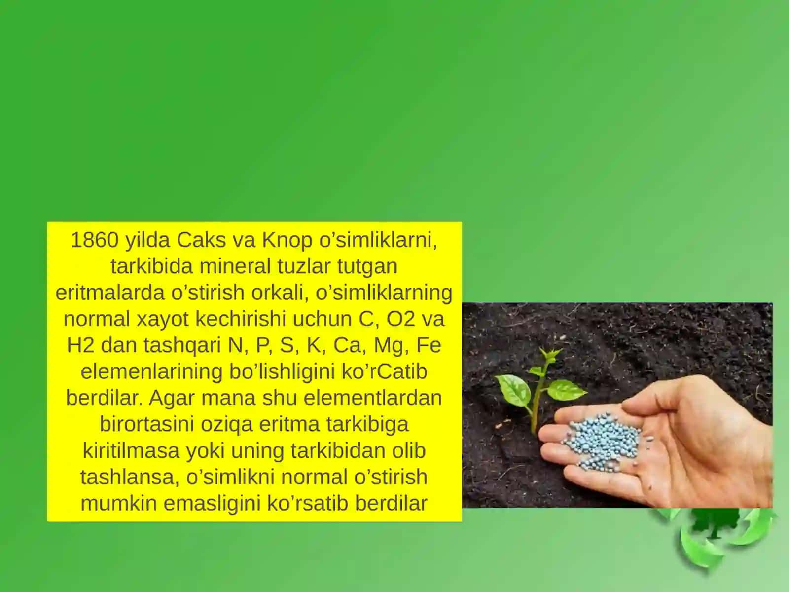 O'simliklarning oziqlanishiga mikroorganizmlarning roli 4