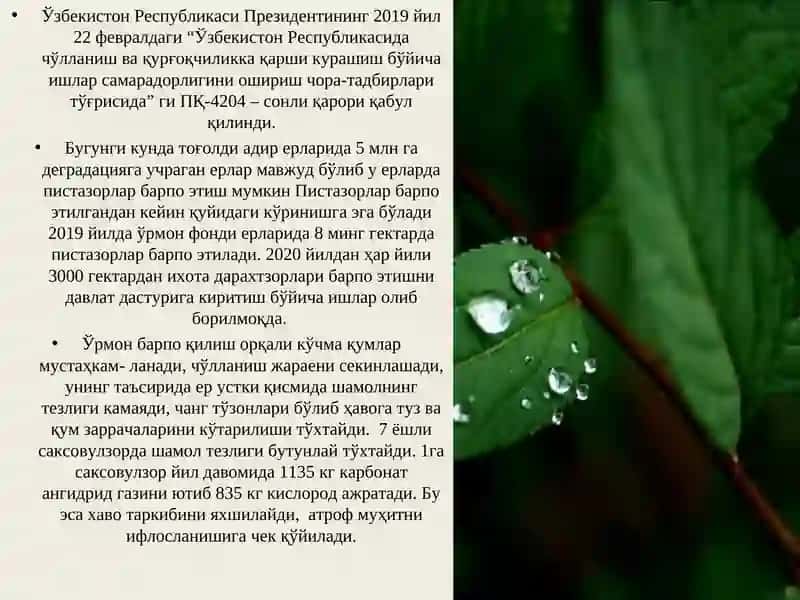 Ҳавонинг Махаллий ва Минтақавий Ифлосланиш 4