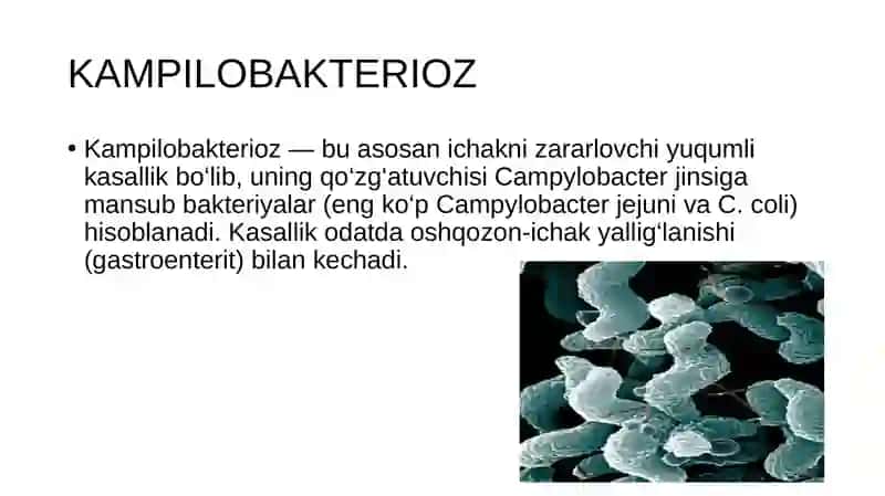 Kampilobakterioz. Yuqumli kasalliklar 4