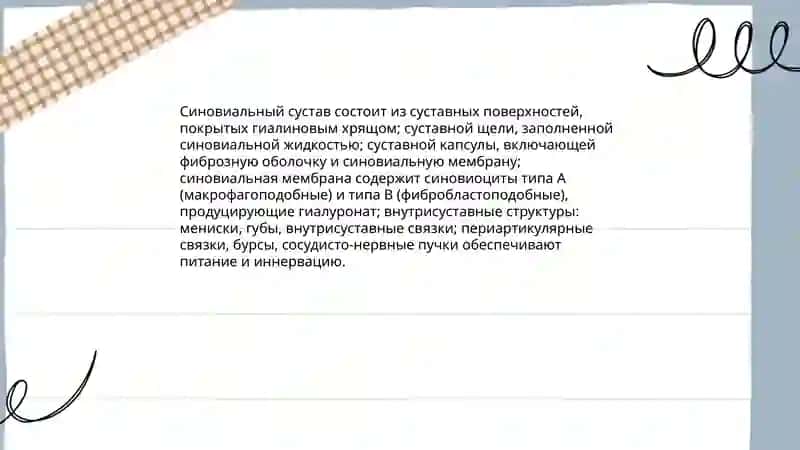 Анатомия суставов 4