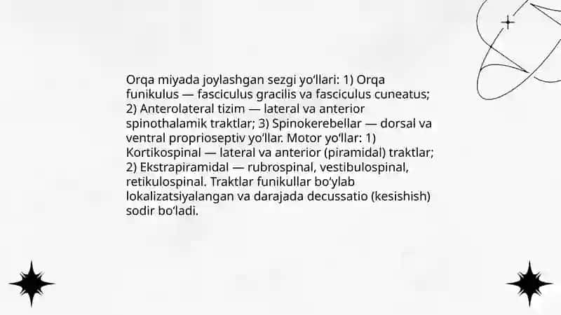 Bosh va orqa miya oʻtkazuv yoʻllari 4