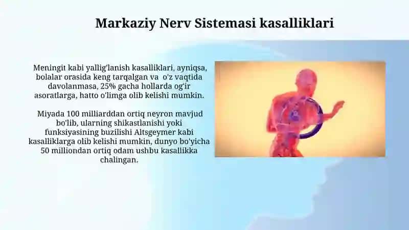 Markaziy nerv tizimining xususiy fiziologiyasi va gigiyenasi 4