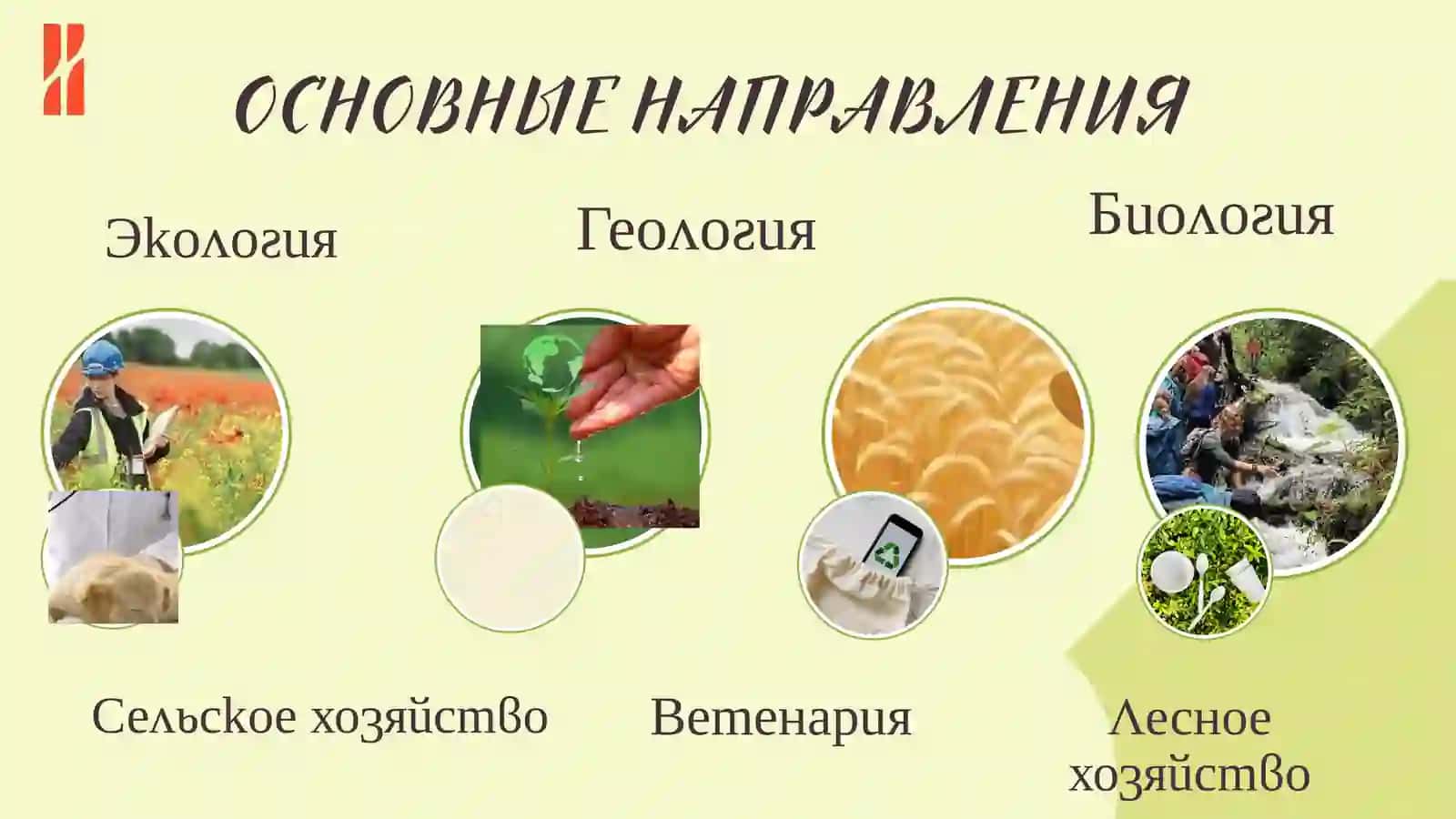 образовательный гид по профориентации Человек и природа 4
