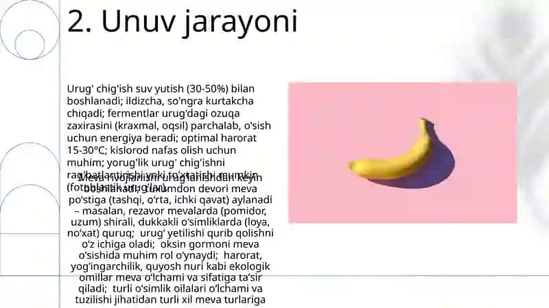 Urugʻ va meva Urugʻning rivojlanishi 4