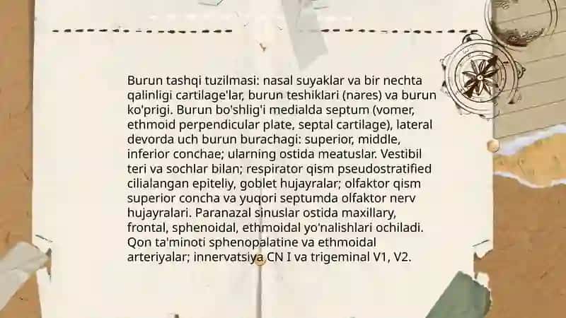 Umumiy nafas olish organlari tuzilishi 4