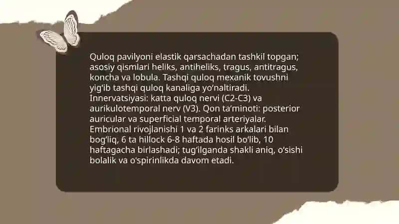 Eshitish aʼzosi. Tashqi va oʻrta quloqning funksional va yoshli anatomiyasi. Ichki quloq 4