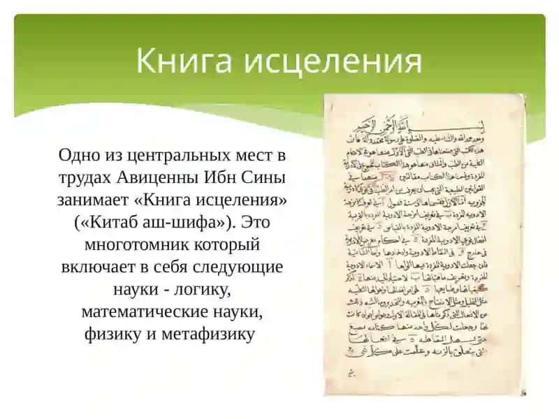 вклад ученых Средней Азии в развитие медицины. Всемирная организация здравоохранения 4