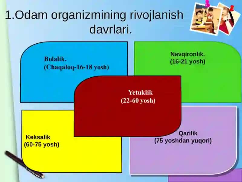 BOLANING O'SISHI VA RIVOJLANISHI 4