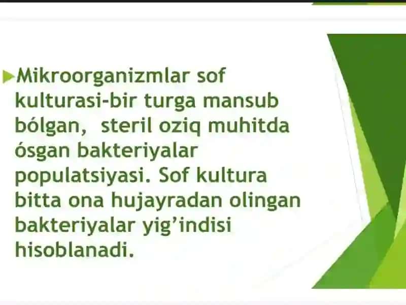 Ozuqa muhitlar 4