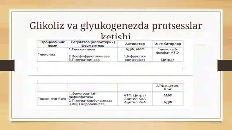 Jigar  glikolizi  glikogenezini  boshqarish. Katexolamin  va  glyukokartikoidning uglevod almashinuviga ta’siri 4