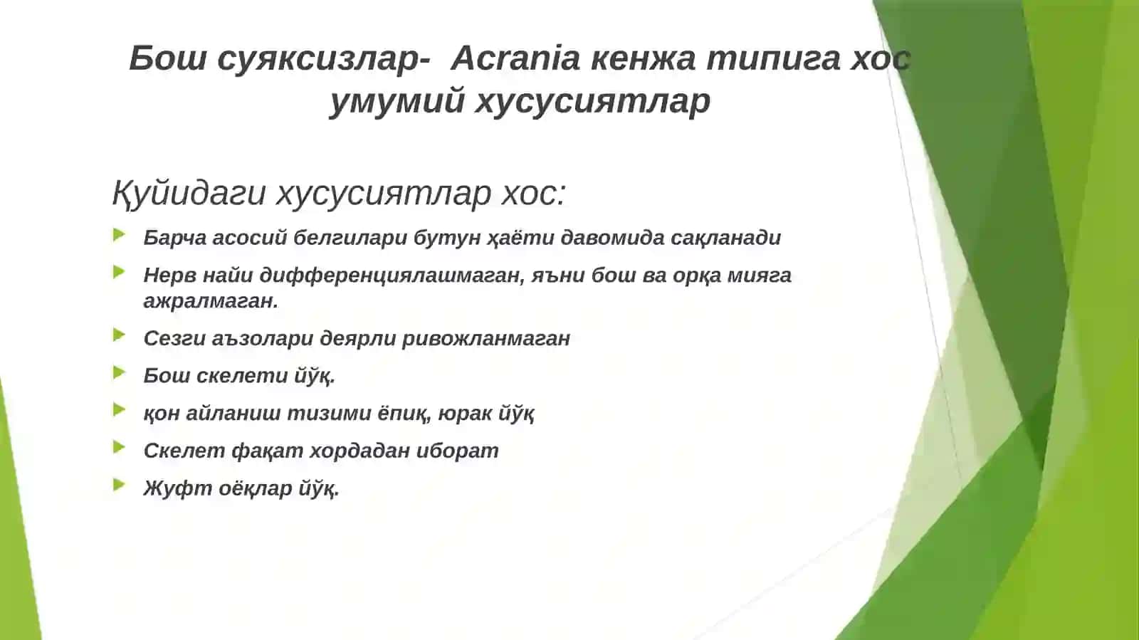 Бош скелетсизлар-Acrania кенжа типи 4