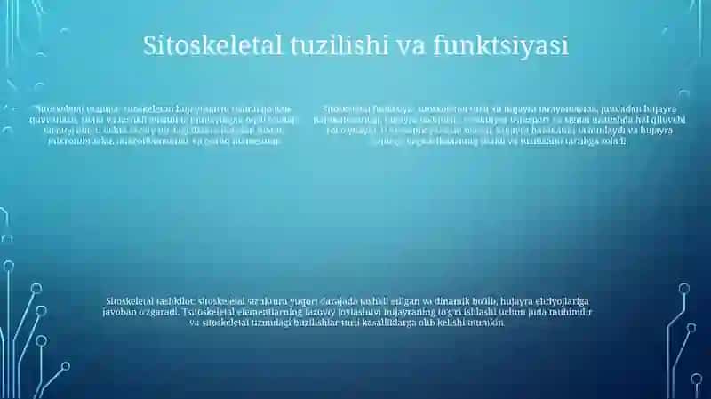 Hujayra Va Organellalarning Morfologik Jihatdan Tuzilmaviy Asosi 4