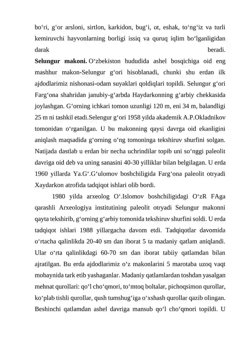 So’nggi paleolit davri yodgorliklari 4