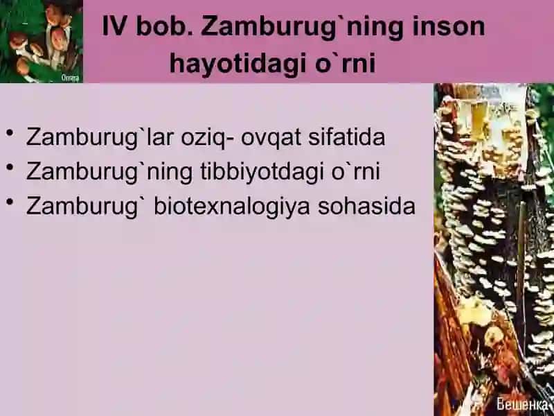 Zamburugʻlar. Ularning morfologiyasi,strukturasi va ularni oʻrganish usullari 4