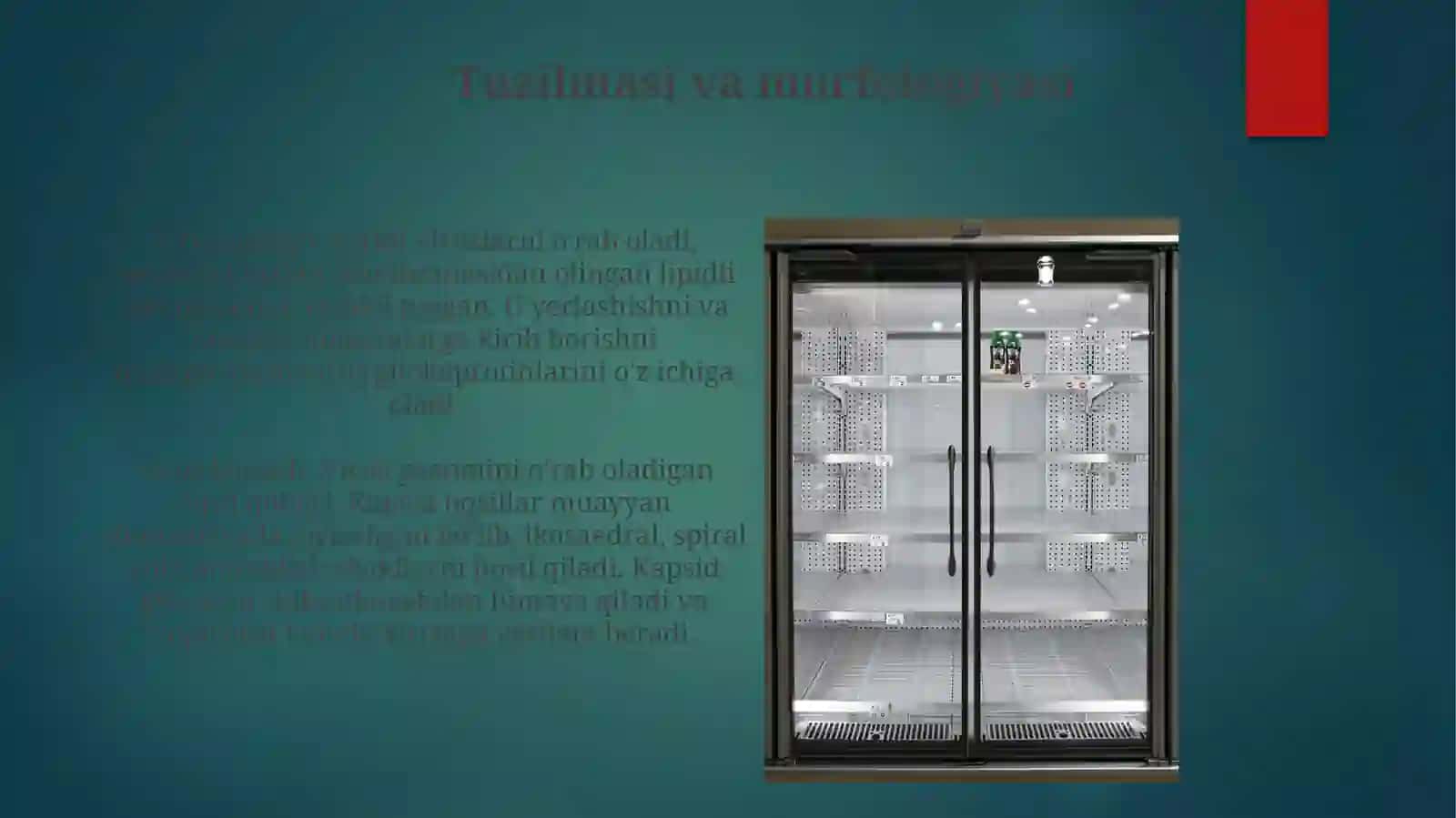 Viruslar 4