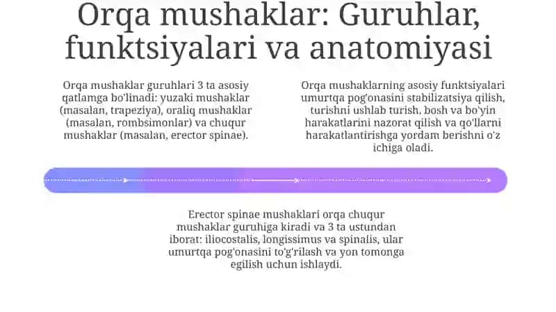 Orqa va old mushaklar tuzulishi 4