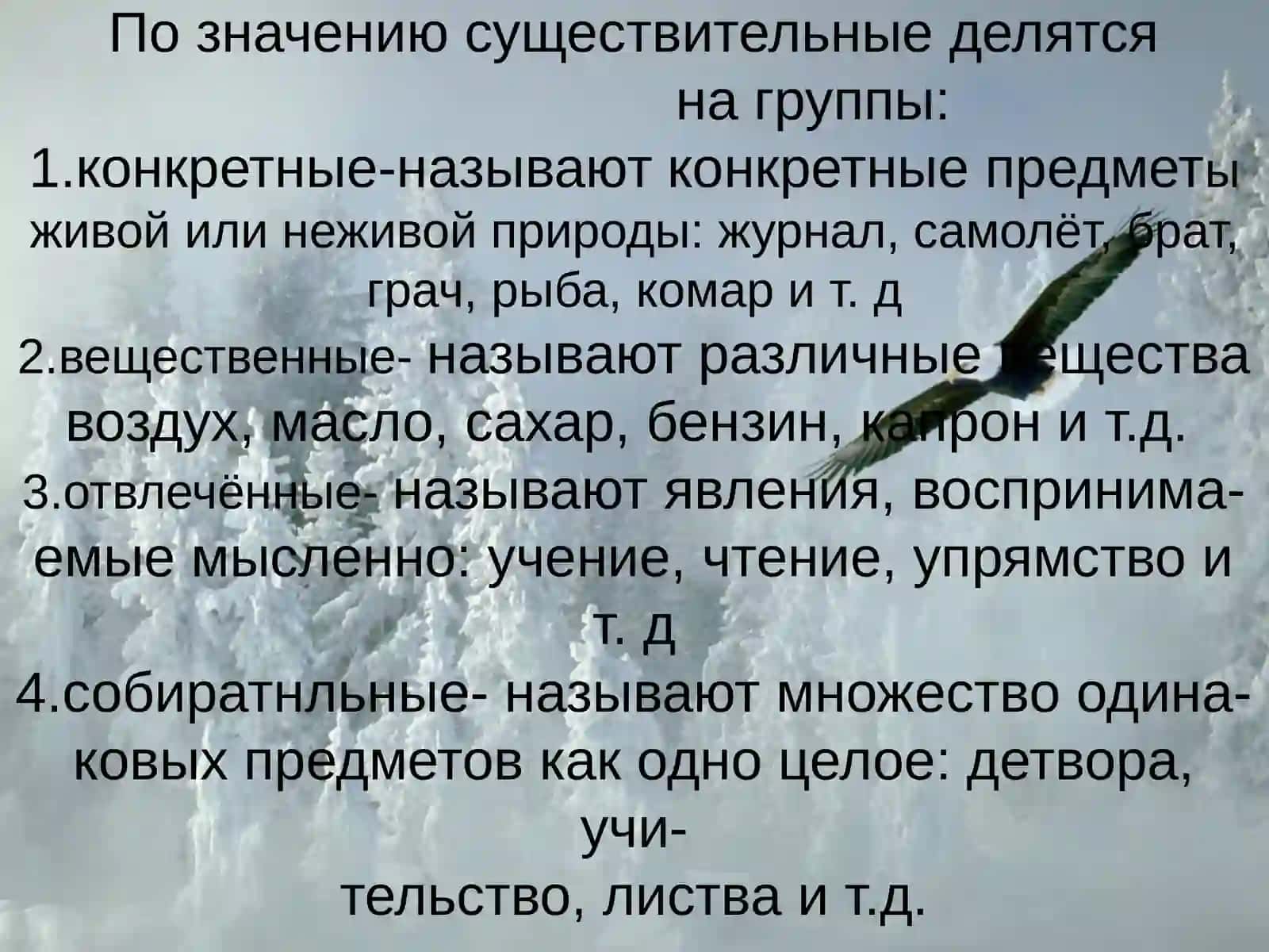 Имя существительное 4