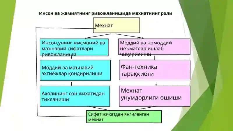 Меҳнат бозори ва корхоналарда меҳнат ресурсларидан фойдаланиш 4