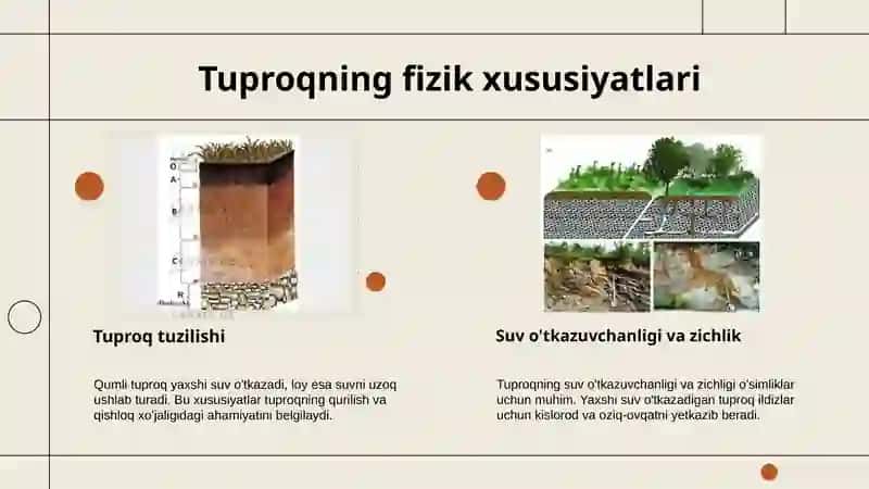 Tuproq va uning tabiiy xususiyatlari 4