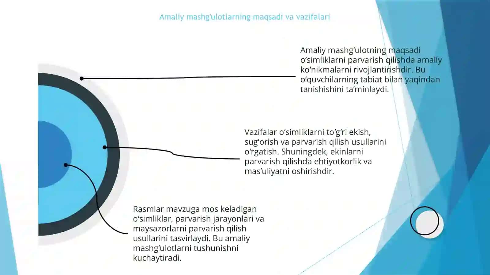 MTTda oʻsimliklarni parvarish qilish boʻyicha amaliy mashgʻulotlar 4