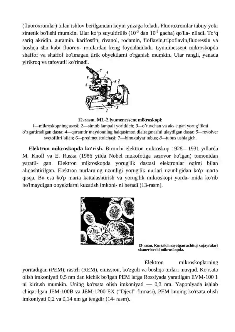 MIKROSKOPDA KO'RISH TEXNIKASI 4