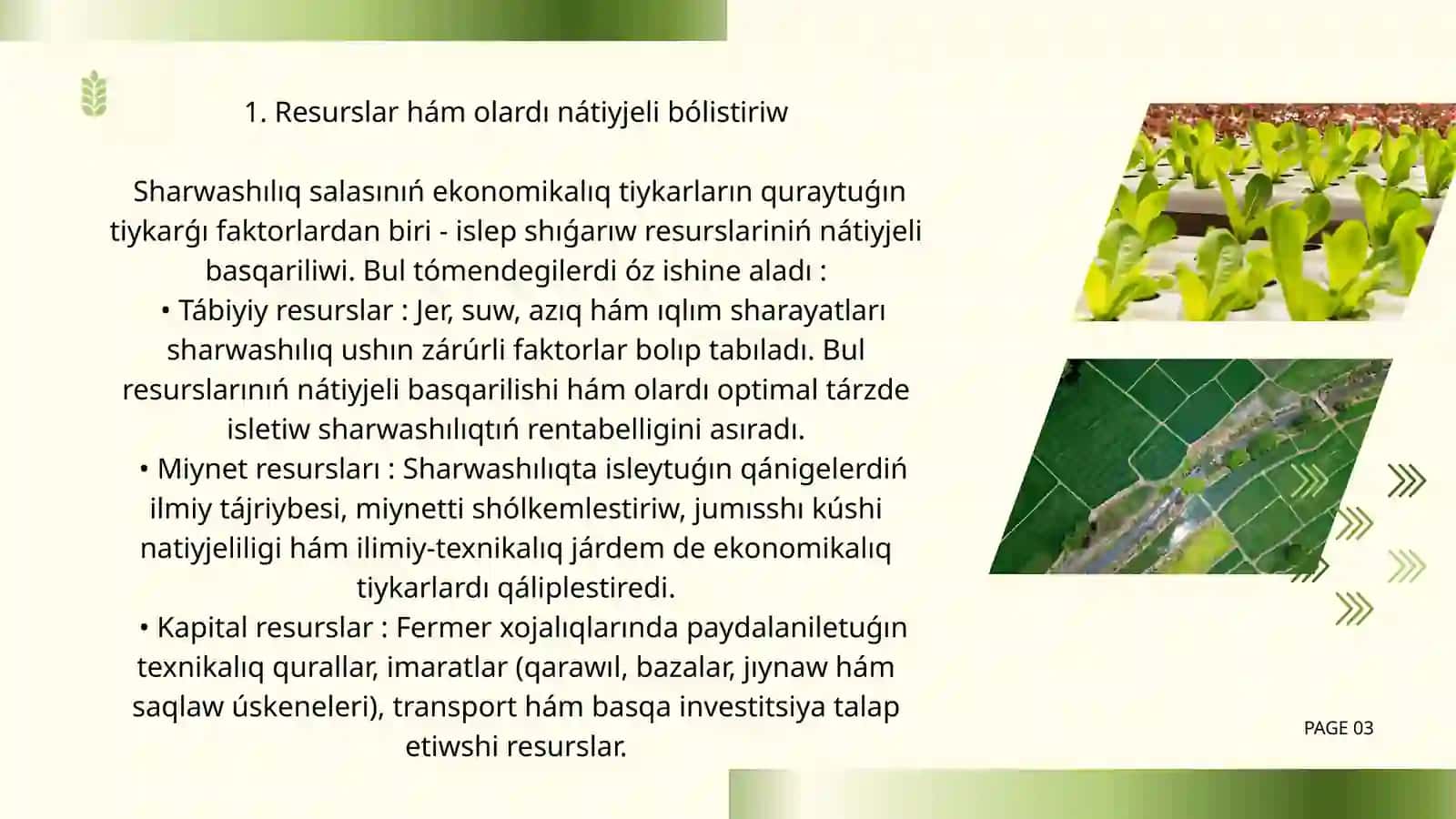 Sharwashılıq tarawın shólkemlestiriwdiń ekonomikalıq tiykarları 4