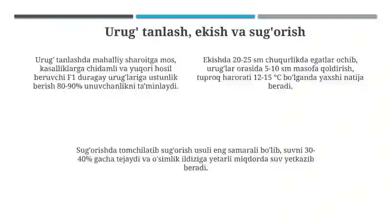 Issiqxona sabzavotchiligining asosiy usullari 4
