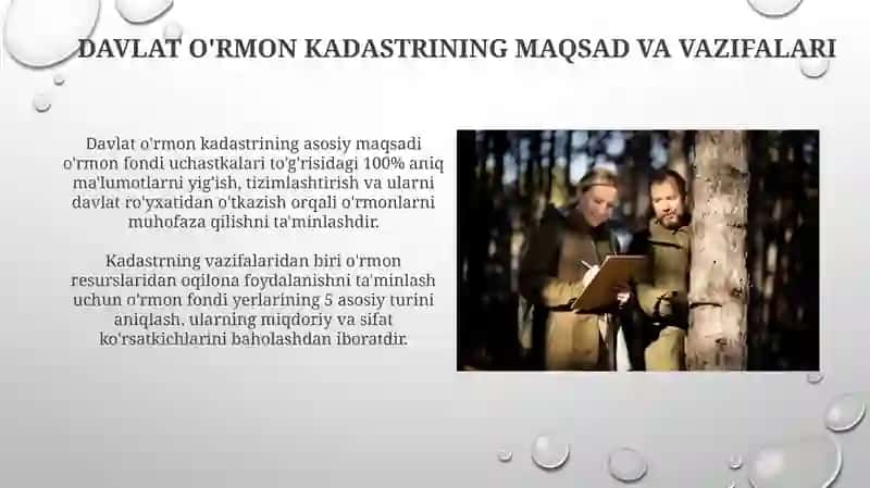 Davlat oʻrmon kadastrining huquqiy asoslari 4