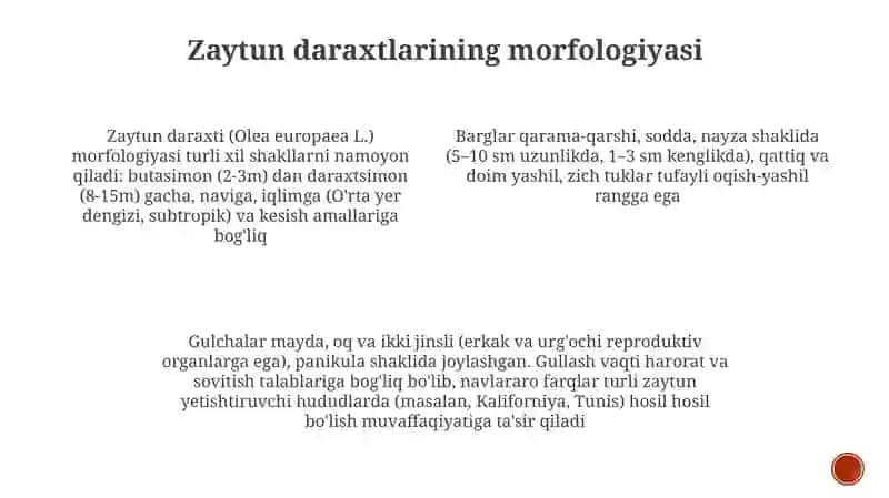 Zaytun (Olea L.) avlodga mansub turlarining botanik ta‘rifi va biologik xususiyatlari 4
