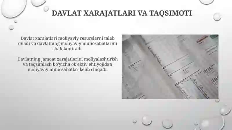 Byudjet siyosati va iqtisodiy barqarorlik 4