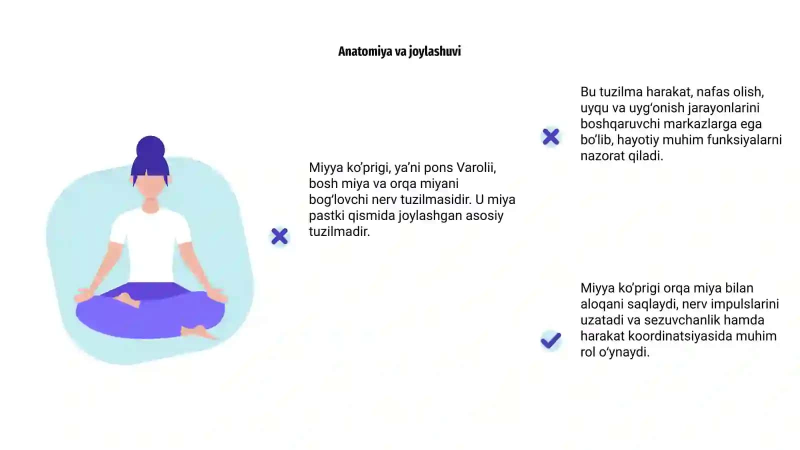 Miyya ko’prigi 4