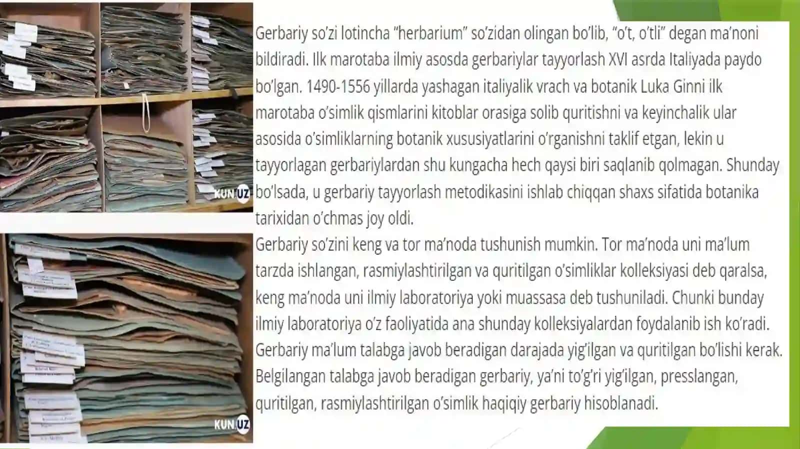 Gerbariy tayyorlash va tayyorlash usullari 4