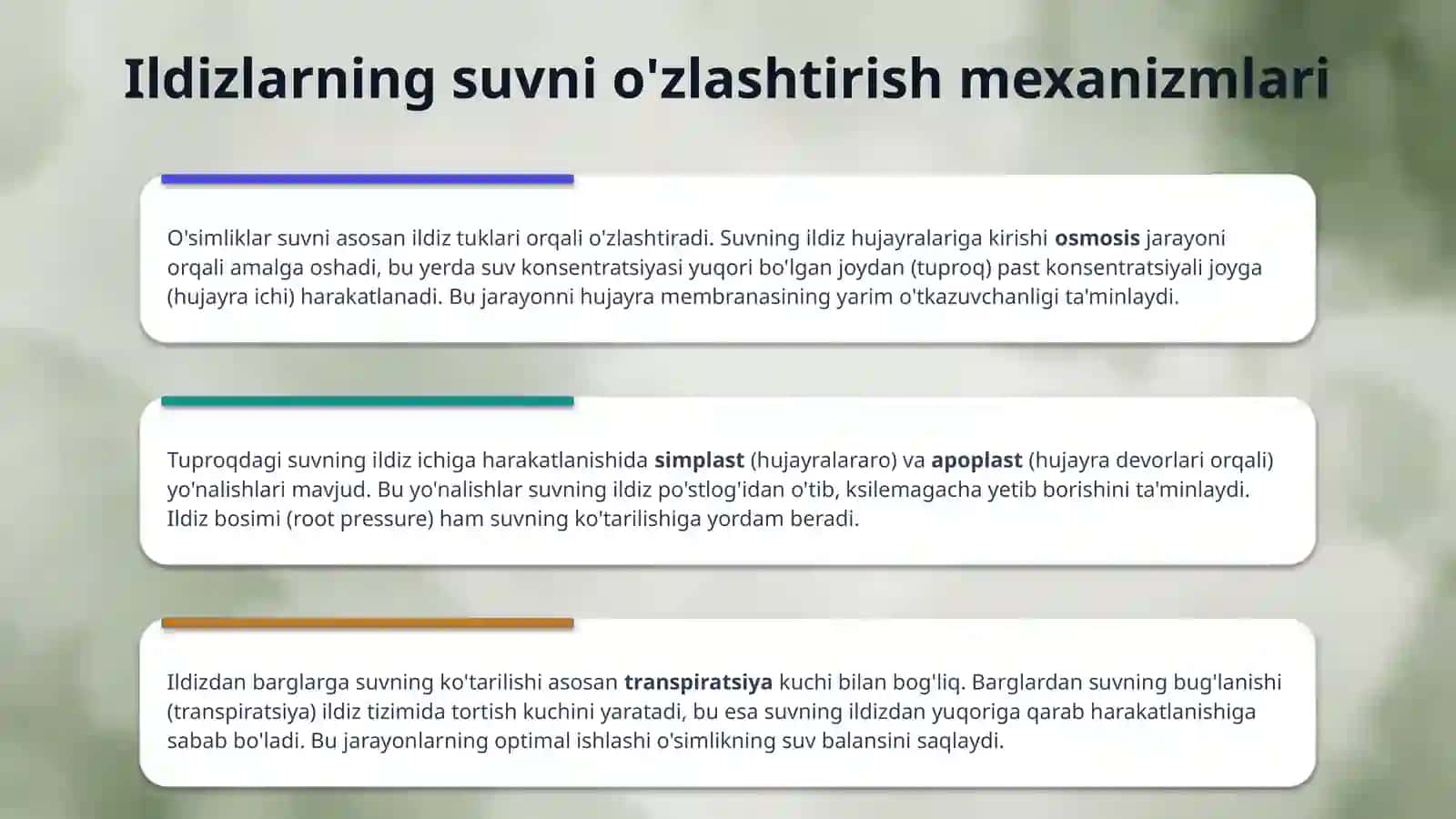 Oʻsimliklarning ildiz bilan oziqlanishi 4